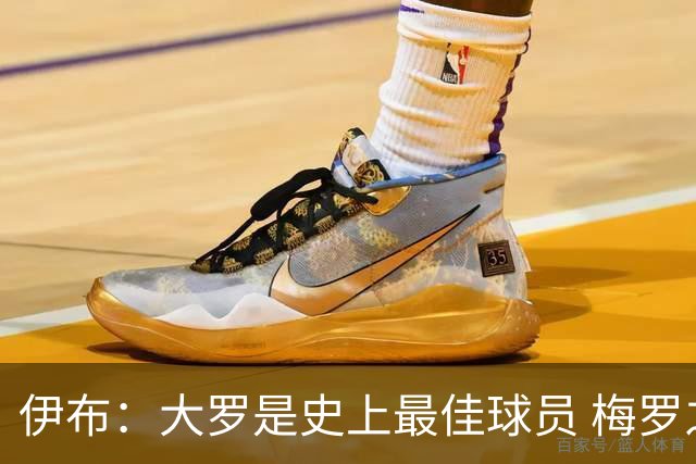 伊布：大罗是史上最佳球员 梅罗之间我选择梅西
